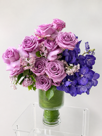 Violet Muse